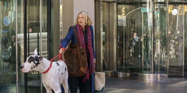 Bing as Apollo with Naomi Watts as Iris in David Siegel and Scott McGehee’s wondrous and sage adaptation of Sigrid Nunez’s National Book Award winning novel The Friend