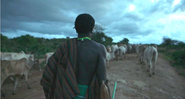 Peter Murimi on filming the semi-nomadic pastoralists: 'It takes patience but also understanding this is the way of life'