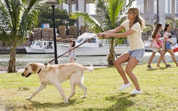 Marley & Me (2008) Movie Review from Eye for Film