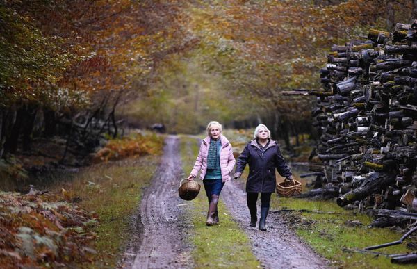 Hélène Vincent and Josiane Balasko as Michele and Marie-Claude in When Fall Is Coming. François Ozon: 'In this film, I weighted it in favour of the intelligence of the viewer'