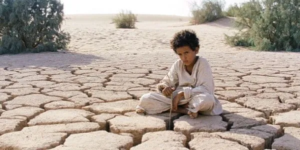 Theeb