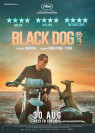 Black Dog packshot