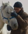 To Kill A Mongolian Horse